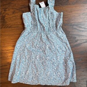 Crewcuts Blue and White Floral Dress